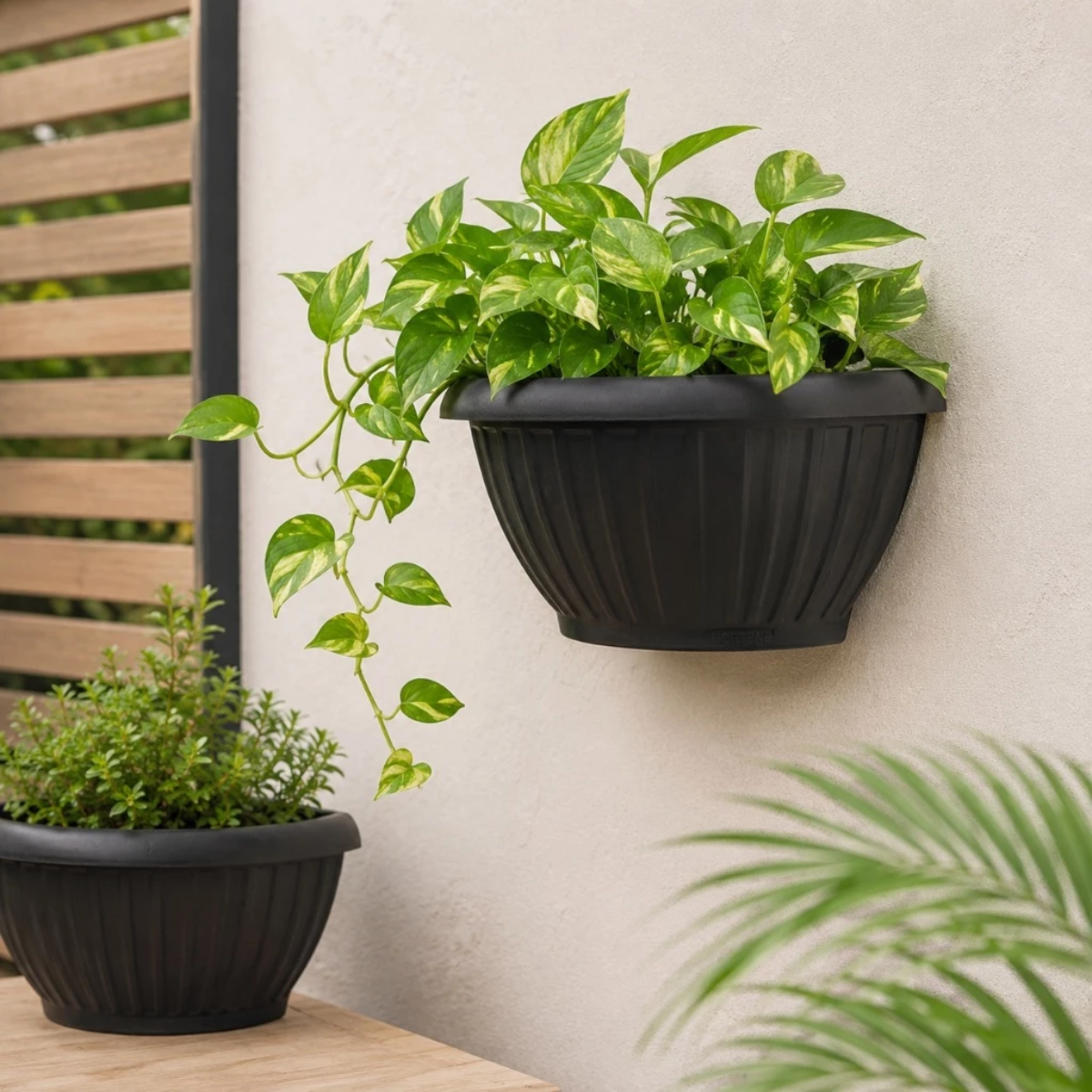 Vaso para Planta de Parede Meia Lua 2,8 Litros